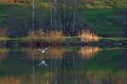 Mai-Abend / ***
