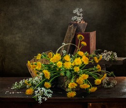 Seasons ... Mai ... / ...