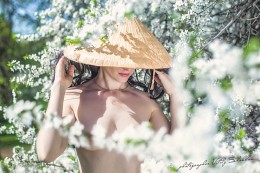 Spring Fever / ©2015 Vitaly Shokhan