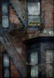 flowers on the wall / ***