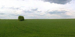 Einsamkeit / ***