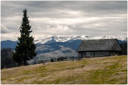 Haus Hirt / ***