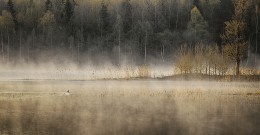 Morgendämmerung / ***
