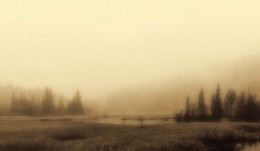 Nebel / ***