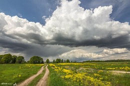 Das Tal des Dnjepr / ***