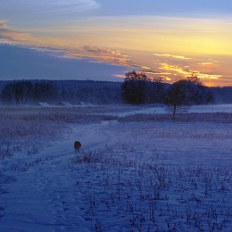 Winterabend .. / ***