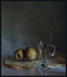 Herbst / ***