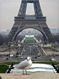 Fenster nach Paris / ***