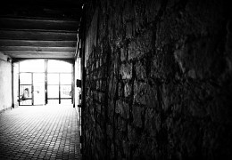 Im Lichte / ***