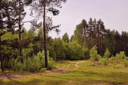 Weg / ***