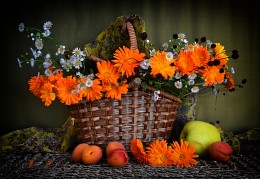 Stillleben / ***