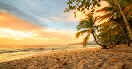 ....that kind of Fall / Grenada