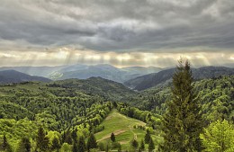 über das Licht / ***