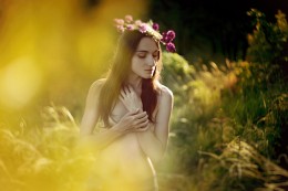  / ALEXEYRADCHENKO.COM
