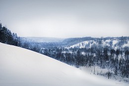Gefrorenen Boden / ***