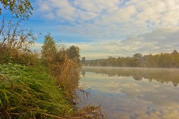 Morgens / ***