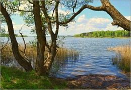 Fischerportal / ***