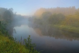 Morgens / ***