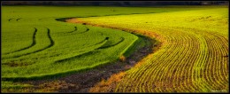 Yin und Yang / ***