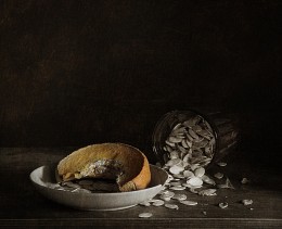 Zyklus / ***