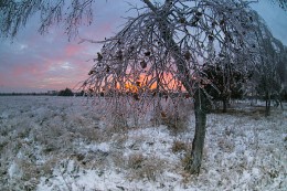 Eis und Feuer / ***