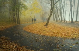 Herbst / ***
