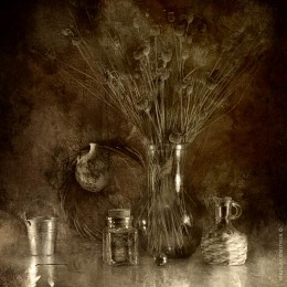 ein Bouquet von Mohn 2014 / music: moonchild - Emune ft Heir Raid
http://www.youtube.com/watch?v=BeQpwOMdmGU