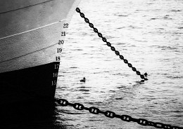 Schiff / ***