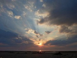 Nachmittagstee / ***