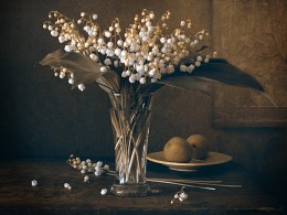 Immer Lilien ... / ***