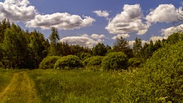 Forststraße / ***