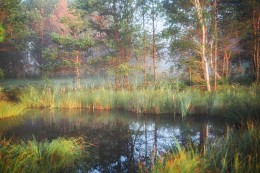 Landschaftspanorama / ***