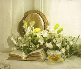 Gute utrog / ***