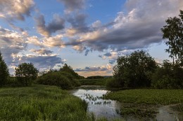 Overgrown Teich. / ***