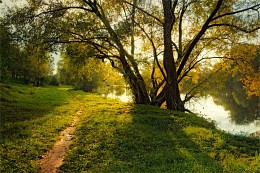 Herbstlicht / ***