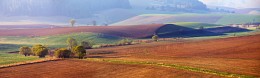 Über Slovak "Moravia" / ***