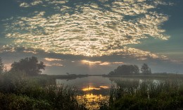 Nebliger Morgen / ***
