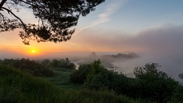 Morgennebel / ***