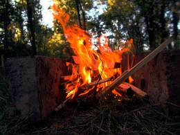 Kamin / ___