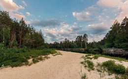 Forest Beach / ***