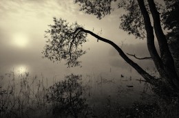 Verbeugung vor dem nebelhaften Stille ... / ***