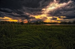 Der Himmel über Klyastitsy / ***