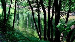 Alley am Kanal ... / ***