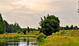 Weißrussisch Landschaft / ***