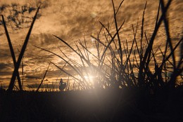 Sonnenuntergang / ***