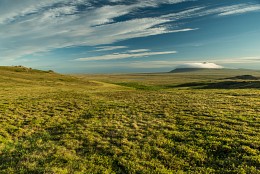 Chukotka. Tundra / ***