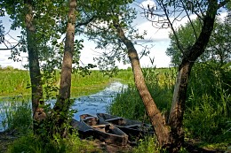 der Fischereihafen / ***