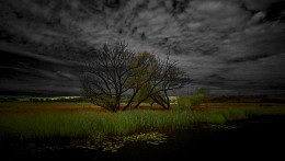16 : 9 / ***