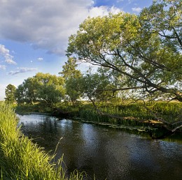 Abend auf dem Fluss / ***