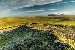 Summer in Chukotka. Tundra / ***